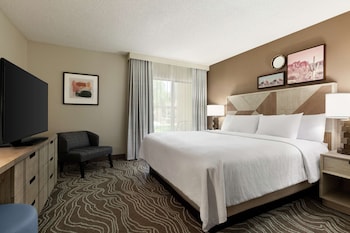 Basic Room, 1 King Bed, Non Smoking