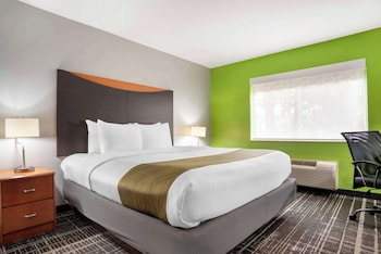 Suite, 1 King Bed with Sofa bed, Non Smoking