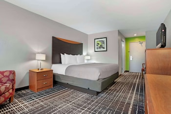 Standard Room, 1 King Bed, Non Smoking