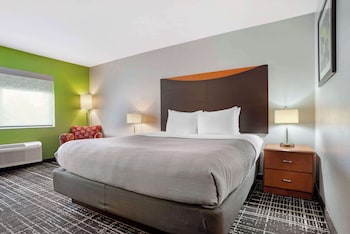 Standard Room, 1 King Bed, Non Smoking