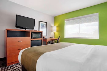 Room, 1 Double Bed, Non Smoking