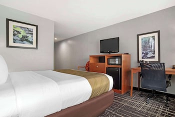 Room, 1 Double Bed, Non Smoking