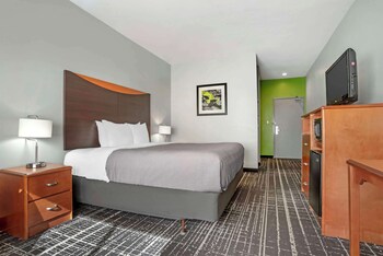 Room, 1 King Bed, Accessible, Non Smoking