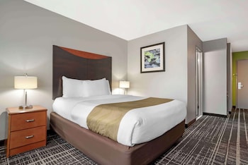 Room, 1 Double Bed, Non Smoking