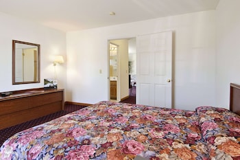 Suite, 1 King Bed, Non Smoking (Efficiency)