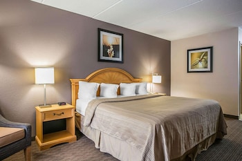 Standard Room, 1 King Bed, Non Smoking