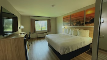 Room, 1 King Bed, Non Smoking, Refrigerator & Microwave