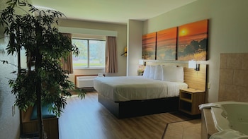 Deluxe Studio Suite, 1 King Bed, Non Smoking