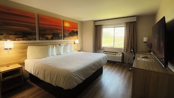 Room, 1 King Bed, Non Smoking, Refrigerator & Microwave
