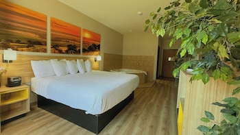 Deluxe Studio Suite, 1 King Bed, Non Smoking