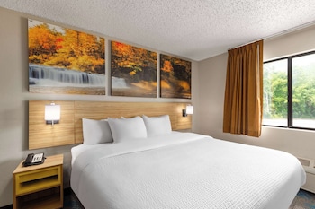 Business Room, 1 King Bed, Non Smoking