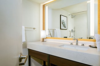 Traditional Room, 1 King Bed (Mobility/Hearing Access, Roll-In Shwr)
