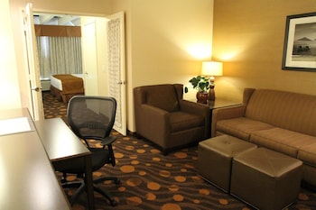 Suite, 1 King Bed, Non Smoking, Refrigerator & Microwave (with Sofabed)