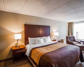 Room, 1 King Bed, Accessible, Non Smoking