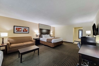 Standard Room, 1 King Bed, Non Smoking, Refrigerator & Microwave