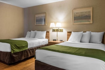 Double Room, 2 Double Beds, Non Smoking