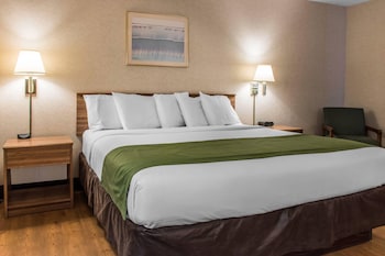 Room, 1 King Bed, Accessible, Non Smoking