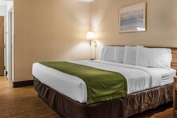 Room, 1 King Bed, Accessible, Non Smoking
