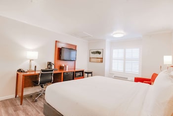 Room, 1 King Bed, Non Smoking