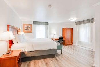 Room, 1 King Bed, Non Smoking, Jetted Tub