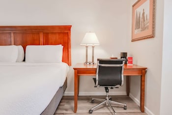Room, 1 King Bed, Non Smoking