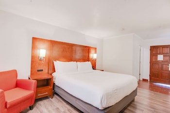 Room, 1 King Bed, Non Smoking