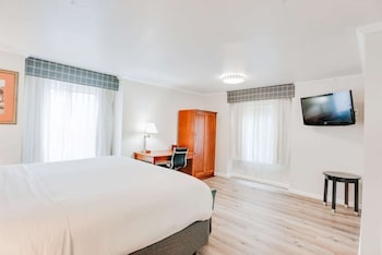 Room, 1 King Bed, Non Smoking, Jetted Tub