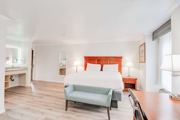 Room, 1 King Bed, Non Smoking, Jetted Tub