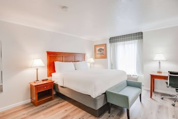 Room, 1 King Bed, Non Smoking, Jetted Tub