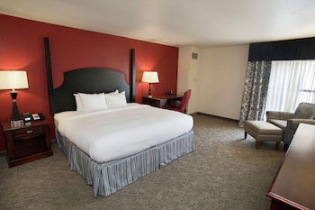 Room, Accessible (Roll-in Shower)
