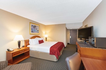 Room, 1 Double Bed, Non Smoking