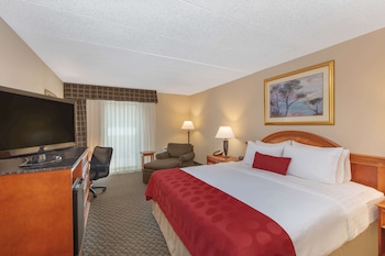 Room, 1 King Bed, Non Smoking