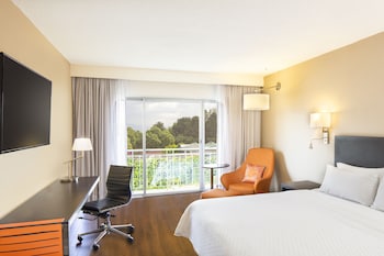 Room With a view Double