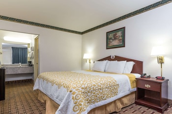 Room, 1 Double Bed, Refrigerator & Microwave