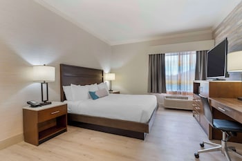 Suite, 1 King Bed, Non Smoking, Refrigerator & Microwave (Living Room;with Sofabed)
