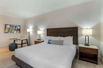 Standard Room, 1 King Bed, Accessible, Non Smoking