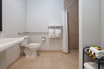 Standard Room, 1 King Bed, Accessible, Non Smoking