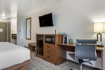 Standard Room, 1 King Bed, Non Smoking, Refrigerator & Microwave