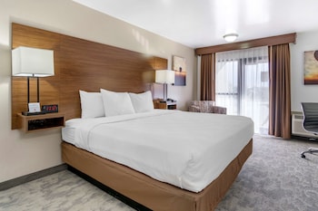 Suite, 1 King Bed, Non Smoking, Jetted Tub (Living Room)