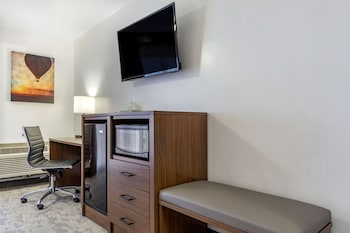 Standard Room, 1 King Bed, Non Smoking, Refrigerator & Microwave