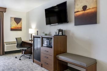 Standard Room, 1 King Bed, Non Smoking, Refrigerator & Microwave