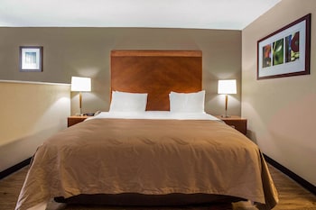 Room, 1 King Bed, Accessible, Non Smoking