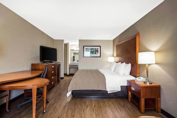 Standard Room, 1 King Bed, Non Smoking