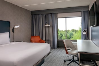 Room, 1 King Bed (Mobility Accessible, Tub)