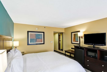 Room, 1 King Bed, Non Smoking, Bay View