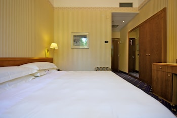 Standard Room, 1 Double Bed
