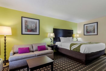 Room, 1 King Bed, Accessible, Non Smoking