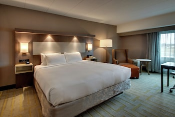 Room, 1 King Bed