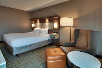 Room, 1 King Bed, Hearing Accessible