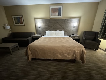 Standard Room, 1 King Bed, Non Smoking